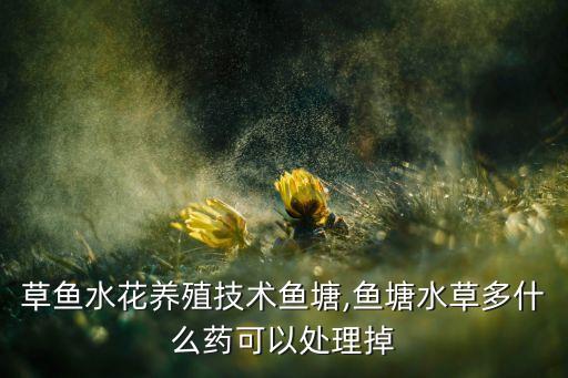 什么農藥可以殺死羅非魚,羅非魚用什么藥能殺死
