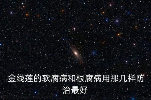  金線蓮的軟腐病和根腐病用那幾樣防治最好