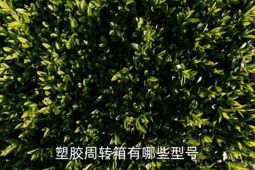 塑膠周轉(zhuǎn)箱有哪些型號(hào)