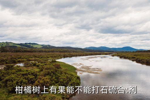 柑橘樹上有果能不能打石硫合:劑