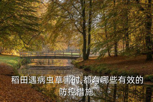 稻田怕什么農(nóng)藥,根腐病最怕什么農(nóng)藥