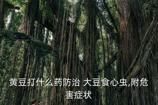 大豆需要打農藥嗎,大豆用什么農藥打好