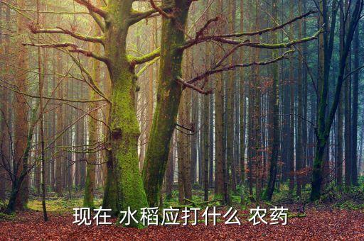 水稻喂什么農藥最多,什么農藥可以毒死水稻