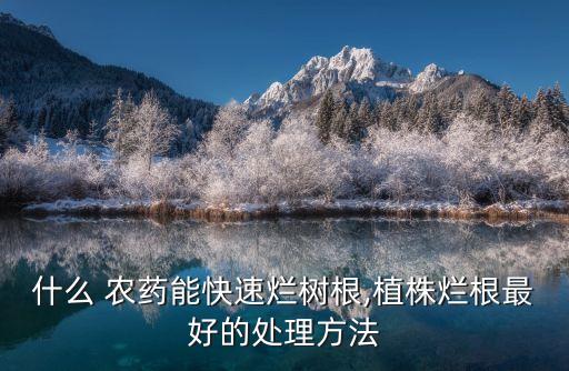 什么 農藥能快速爛樹根,植株爛根最好的處理方法