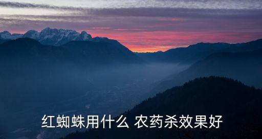 玫瑰紅蜘蛛用什么農(nóng)藥,玫瑰需要打什么農(nóng)藥
