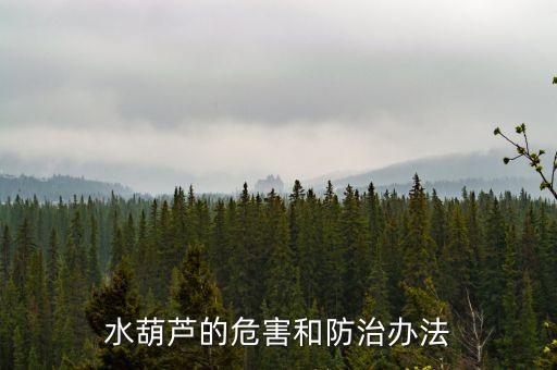 水葫蘆的危害和防治辦法