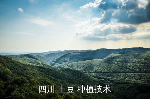 四川 土豆 種植技術(shù)