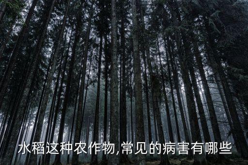  水稻這種農作物,常見的病害有哪些