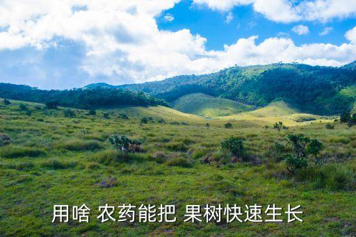 果樹農藥加什么藥最好,果樹春季用什么農藥