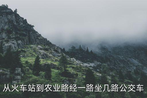 從火車站到農業路經一路坐幾路公交車