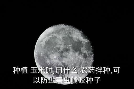 種植 玉米時,用什么 農藥拌種,可以防止害蟲啃咬種子