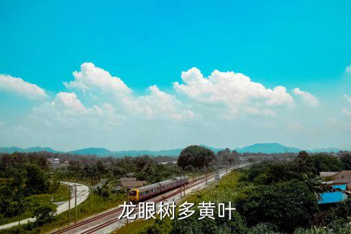 龍眼花噴什么農(nóng)藥好看些,龍眼害蟲用什么農(nóng)藥