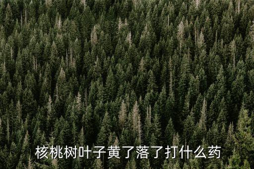 核桃消滅紅蜘蛛用什么農藥,消滅紅蜘蛛的農藥