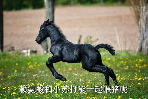 現(xiàn)在農民養(yǎng)豬國家有什么政策,農民養(yǎng)豬用什么農藥