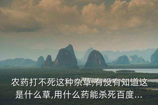 ,沒有農(nóng)藥打什么藥會死