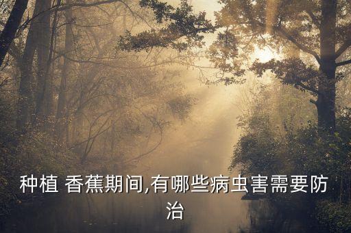 種植 香蕉期間,有哪些病蟲害需要防治