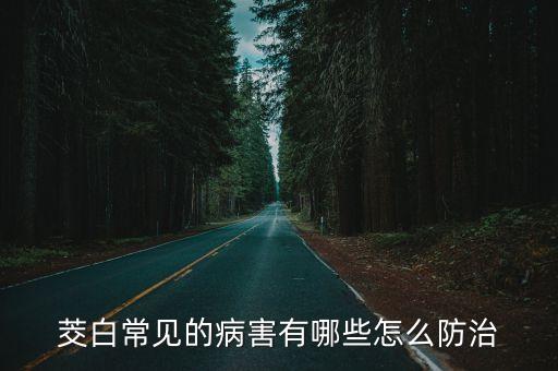 茭白常見的病害有哪些怎么防治