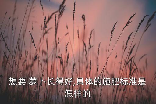 想要 蘿卜長得好,具體的施肥標準是怎樣的