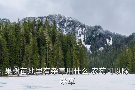 除草劑能用什么農藥,水田除草劑農藥大全