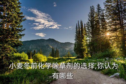 小麥最苦的農藥是什么,夢見給小麥打農藥是什么意思