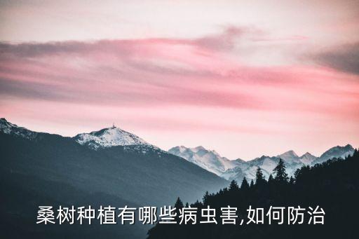  桑樹種植有哪些病蟲害,如何防治