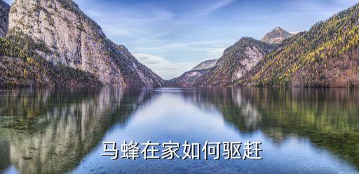 馬蜂用什么農(nóng)藥打蟲子,什么農(nóng)藥能殺死馬蜂