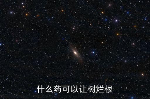 柏樹什么農(nóng)藥能殺死,殺死柏樹用什么藥最好
