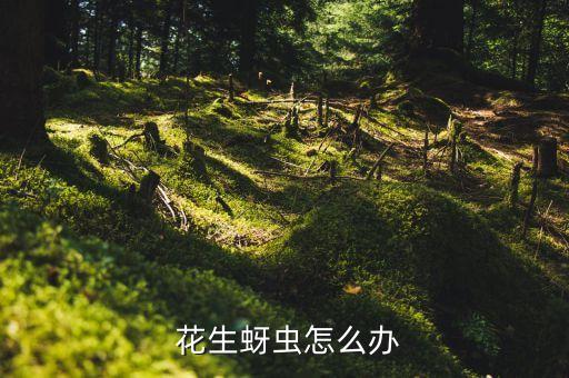  花生蚜蟲怎么辦