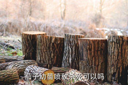 茄子種什么農(nóng)藥最好,茄子不能用什么農(nóng)藥
