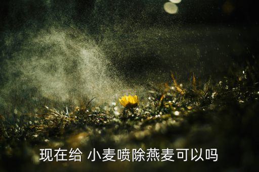 邢臺(tái)小麥用什么農(nóng)藥,小麥打農(nóng)藥什么時(shí)間打效果好