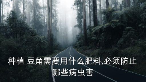 ,豆角打什么農(nóng)藥多果