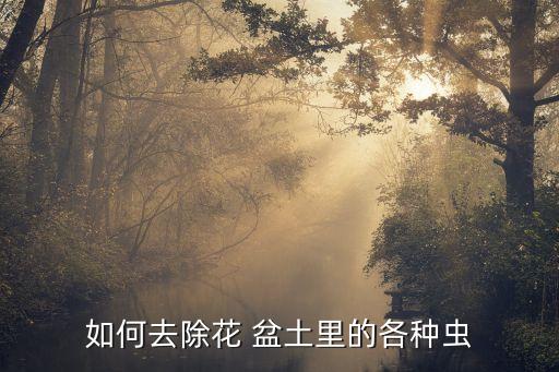 如何去除花 盆土里的各種蟲