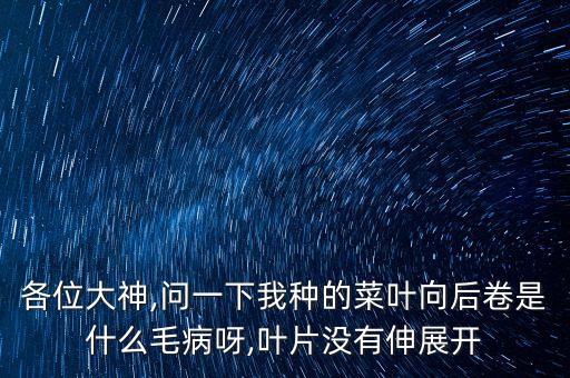 各位大神,問一下我種的菜葉向后卷是什么毛病呀,葉片沒有伸展開