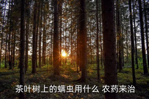  茶葉樹上的螨蟲用什么 農藥來治