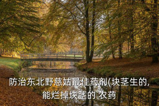 防治東北野慈姑最佳藥劑(塊莖生的,能爛掉塊莖的 農藥