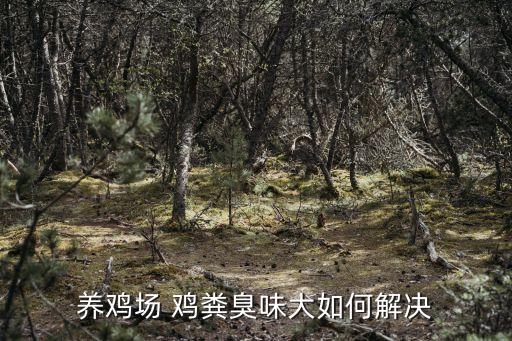 養雞場 雞糞臭味大如何解決