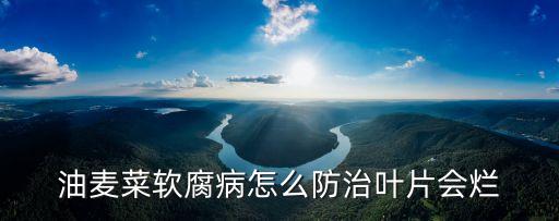 噴菜爛葉用什么農藥,菜爛根爛葉什么原因