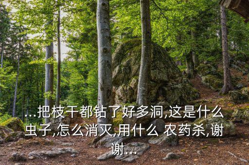 殺雜菌的農(nóng)藥叫什么藥名