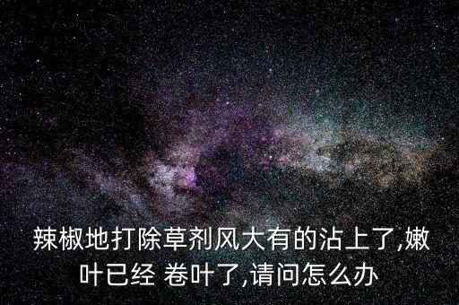  辣椒地打除草劑風大有的沾上了,嫩葉已經 卷葉了,請問怎么辦