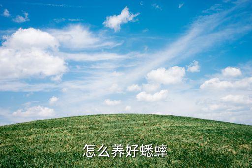 怎么養(yǎng)好蟋蟀