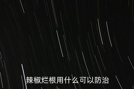  辣椒爛根用什么可以防治