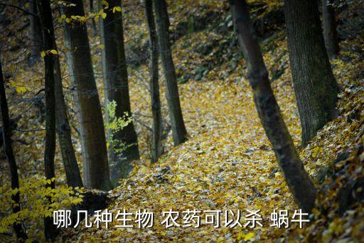 用什么農藥殺蝸牛,殺死蝸牛最有效的方法