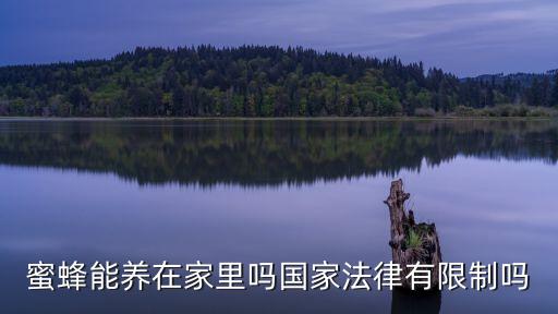 蜜蜂能養(yǎng)在家里嗎國家法律有限制嗎