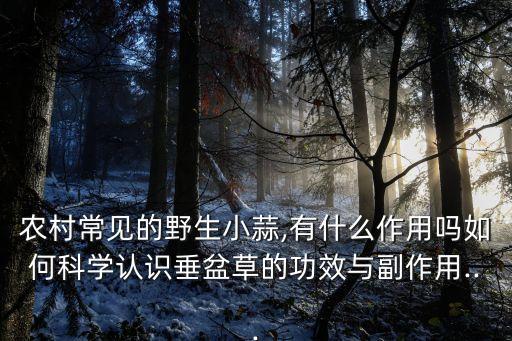 治小蒜用什么農藥,小蒜治什么病效果最好
