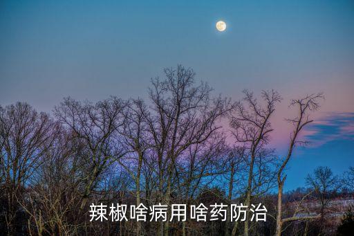  辣椒啥病用啥藥防治