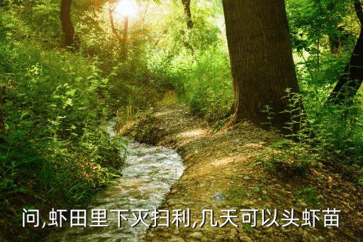 問,蝦田里下滅掃利,幾天可以頭蝦苗