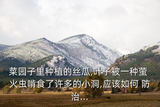 防治瑩火蟲什么農藥好