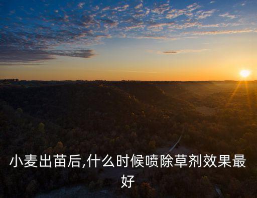 小麥出苗后,什么時(shí)候噴除草劑效果最好