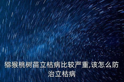 獼猴桃樹苗立枯病比較嚴重,該怎么防治立枯病