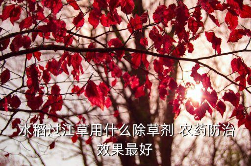 日本水稻用什么農藥好,什么農藥對水稻傷害最大